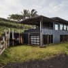 View to the west, Andersen 100 series windows & doors, peanut groundcover and Papaya trees by Evan Ryan at Pono Grown.